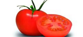 Tomates del Sur quintuplica su capacidad productiva