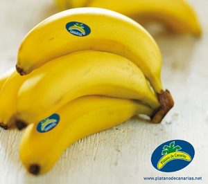 El plátano, base de harina para celíacos y diabéticos