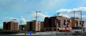 Las grúas florecen en El Cañaveral