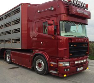 La dueña de Juguetería Poly amplía capital y suma proyectos