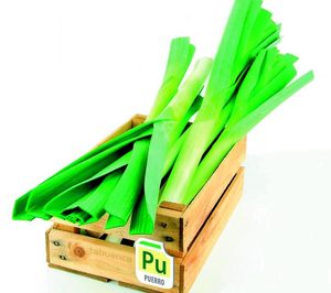 Tabuenca continúa invirtiendo en su crecimiento