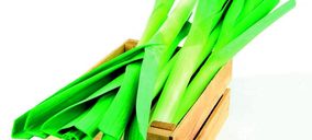 Tabuenca continúa invirtiendo en su crecimiento