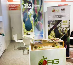 Reyes Gutiérrez prevé crecer un 12% este año