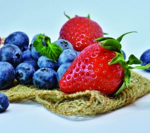 Cecofersa confía en volver a crecer en 2015