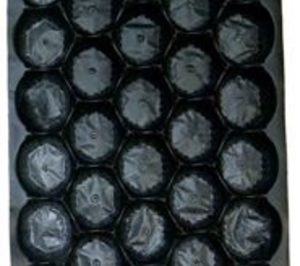 Envaplastic, en liquidación