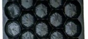 Envaplastic, en liquidación