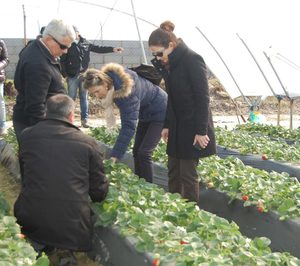 Productores de fresa de España, Francia e Italia analizan el sector