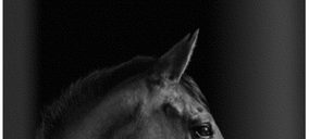 Bodega Pirineos presenta los nuevos vinos de Somontano