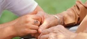 Carflor gana un SAD en la Comunidad de Madrid 