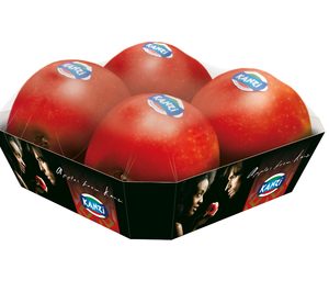 Kanzi cierra la primera mitad de temporada con balance positivo