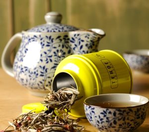 Tekoe llega a hostelería