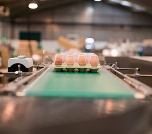 Viena prepara aperturas en nuevos mercados y sale de Zaragoza 