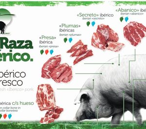 Deraza alcanza convenio para levantar su concurso