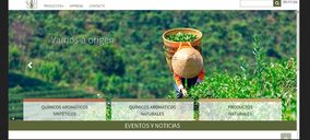 Lluch Essence renueva su imagen