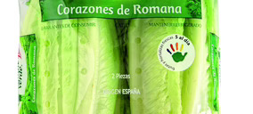 Cambios organizativos en Gigante Verde Fresh