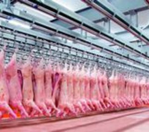 Informe 2015 del sector de carne de porcino