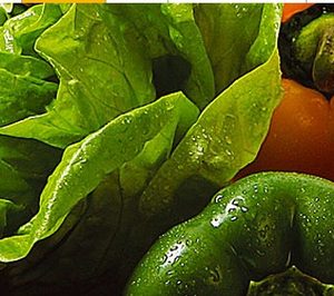 Arc Eurobanan mantiene su apuesta por los ecológicos