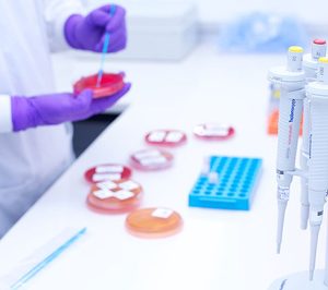 Bio-Cord espera rozar los 3 M en 2015