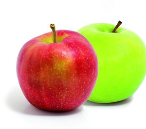 Costa Brava absorberá a Giropoma