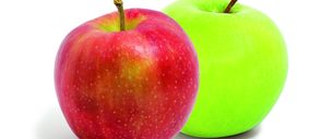 Costa Brava absorberá a Giropoma