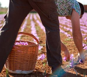 Makro comercializará sin ánimo de lucro pequeñas producciones artesanales del sector primario