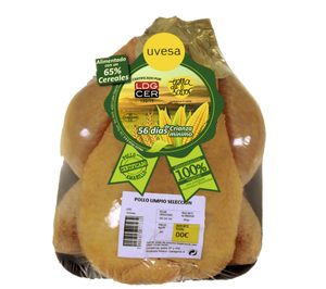 Uvesa incorpora pollo amarillo certificado