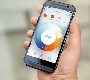 La mitad de las empresas no cuenta con su página web adaptada a dispositivos móviles