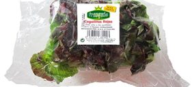 Comfresh invierte y sigue creciendo