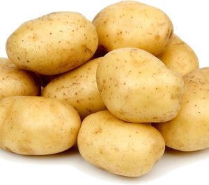 Grupo Torribas proyecta nuevas inversiones en 2015