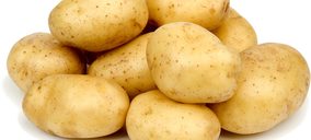 Grupo Torribas proyecta nuevas inversiones en 2015