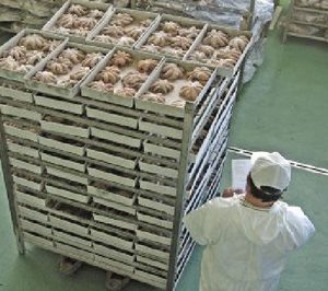 Canosa refuerza el área frigorífica en su planta de Camariñas