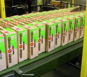 Embalaje y palés de madera: Un negocio sostenible en un mundo cambiante