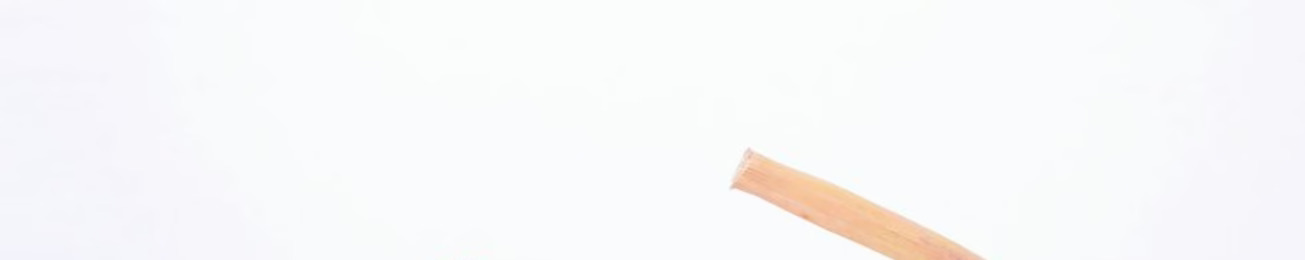 Informe 2015 del mercado de ajo y cebolla