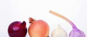 Informe 2015 del mercado de ajo y cebolla