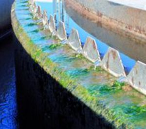 Una importante ingeniería andaluza entra en concurso