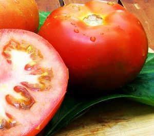 Agrasa rebaja sensiblemente sus resultados