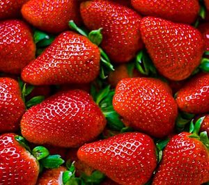 S.A.T. Fres Palos amplía portafolio con su entrada en arándano