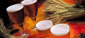 Cerveceros de España y el Magrama impulsan la competitividad