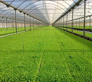 Adesur registra un fuerte descenso en su facturación