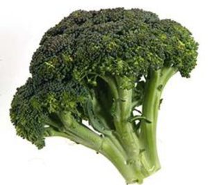 Kettle Produce busca diversificar su producción