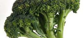 Kettle Produce busca diversificar su producción