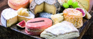 Informe 2015 del sector de quesos en libreservicio