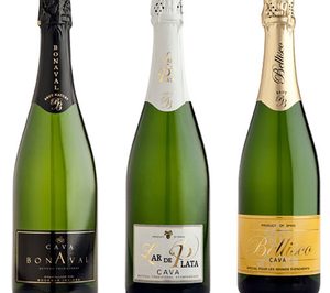 López Morenas sigue invirtiendo en su división de cavas