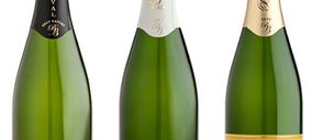 López Morenas sigue invirtiendo en su división de cavas