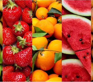 El grupo Univeg da un nuevo paso en su simplificación