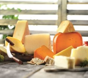 Dsm ofrece nuevas soluciones para quesos continentales