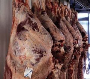 La Ciudad de la Carne será pronto una realidad