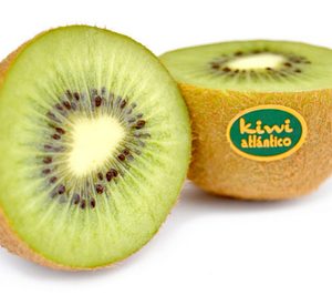 Kiwi Atlántico ya está presente en el continente americano