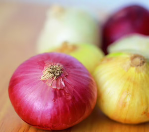 Eurocebollas está levantando una nueva planta de producción