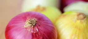 Eurocebollas está levantando una nueva planta de producción